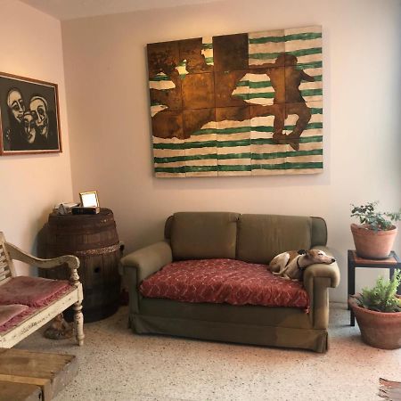 Posada Barbario Con 4 Habitaciones Oaxaca Eksteriør billede